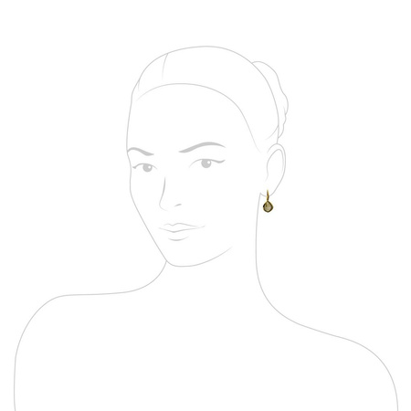 Silver earrings with labradorite