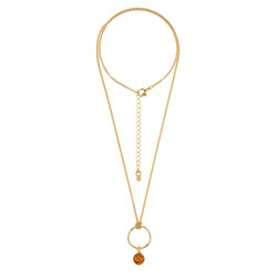 Silver necklace with amber - rosehip