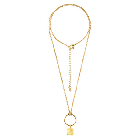 Silver necklace with amber - rosehip