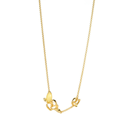 Silver necklace with amber - rosehip