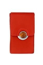 Business card holder with amber